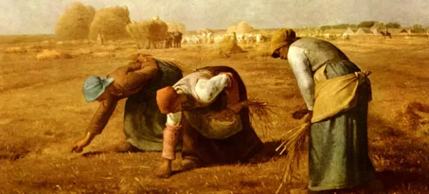 agricoltura