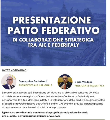 federitaly