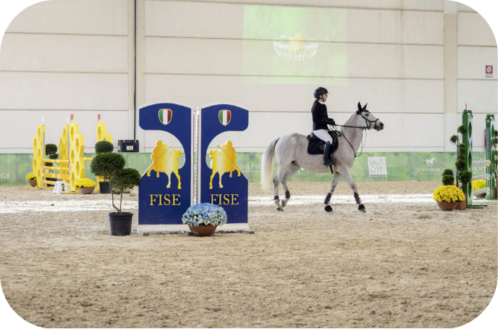 fieracavalli5