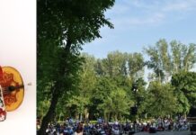 PARCO RIZZANI DI PAGNACCO OSPITA I LOVESICK