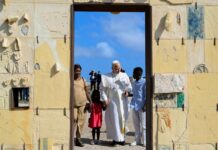 Leone a Lampedusa, un grido muto dal cuore del Mediterraneo