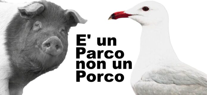 parco porco