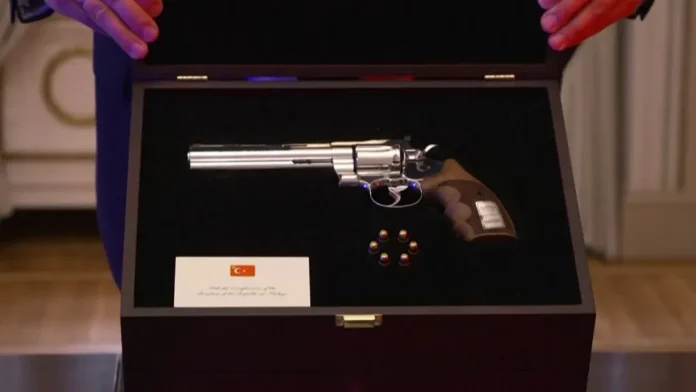 pistola