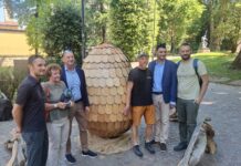 Il Drago Vaia nidifica a Trento, ecco l’uovo delle storie di rinascita