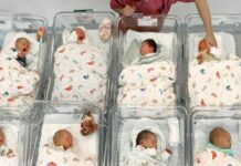 Giappone, oltre il 30% dei single non vuole avere figli
