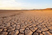 La crisi climatica ci ha fatto piombare in un caldo insopportabile