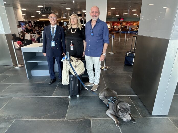 aeroporto palermo