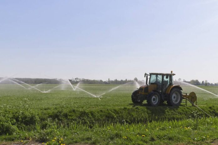 agricoltura