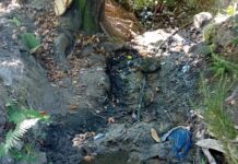 Parco Nazionale Arcipelago Toscano: perdite d’acqua preziosa lungo il sentiero 101