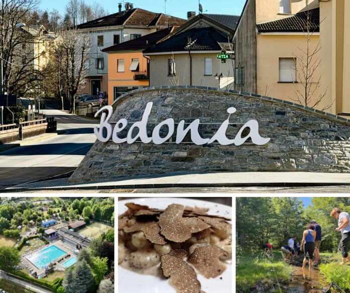 bedonia