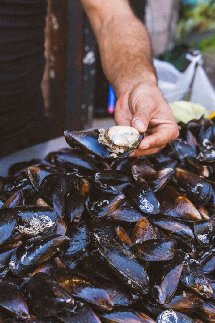 pexels-cozze - mitili
