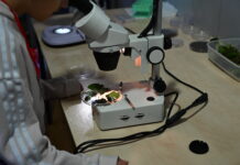 Torna a Settimo Torinese, da giovedì 8 a domenica 11 ottobre 2026, il Festival dell’Innovazione e della Scienza