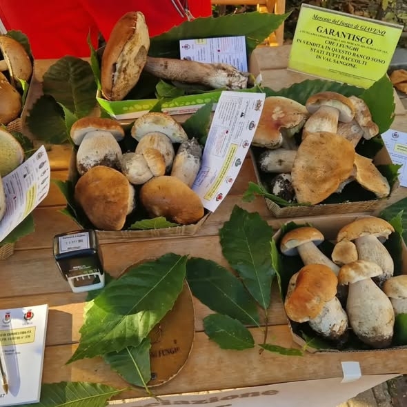 mercato_funghi_Giaveno_repertorio_1