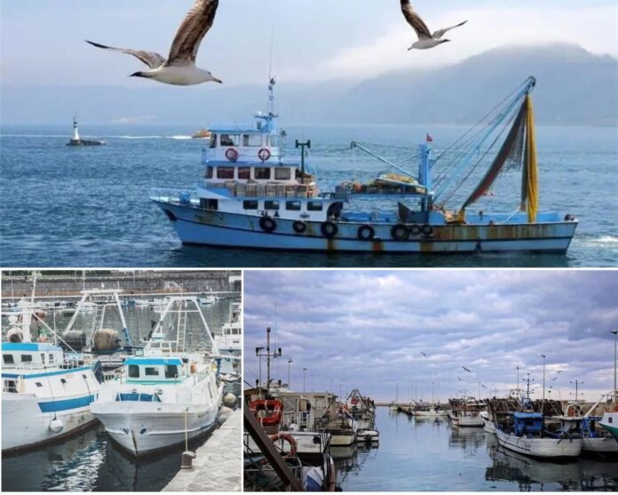 pesca